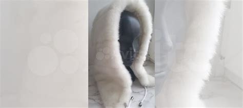 Капюшоны белые норка купить в Самаре | Личные вещи | Авито