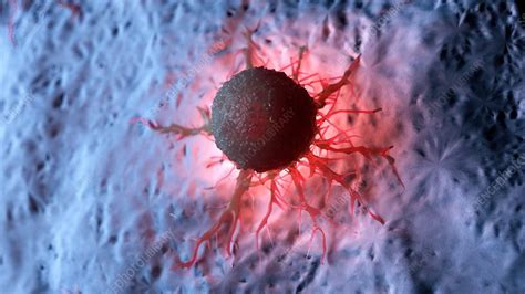 Illustration Of A Human Cancer Cell Stock Image F023 4975 Science