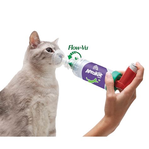 how to clean aerokat