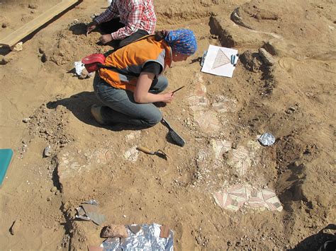 archaeologist excavation volunteer   dig   thrill  digging