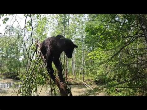 Беспомощный Буржуй. - YouTube