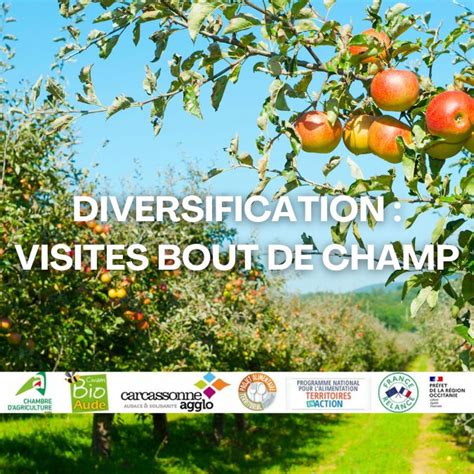 Biocivam Aude Visites Bout De Champ Diversification