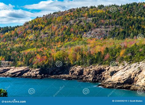 Acadia National Park Autumn Trees Changing Colors Stock Image Image