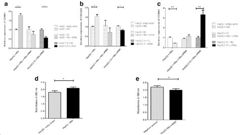 Hbx Promoted Cell Proliferation In Hepg2 Cells A B C Alteration Of