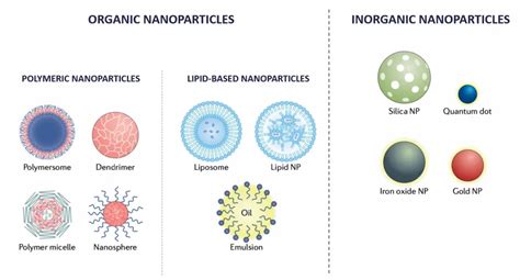 The Evolution of Nanomedicine: from ideas to clinical applications ...