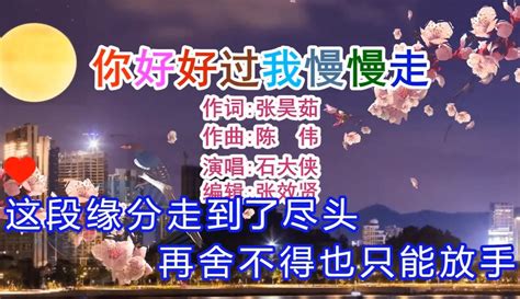 【张效贤爱音乐】石大侠演唱的《你好好过我慢慢走》旋律优美，深情好听 2万粉丝1万作品热议中音乐视频 免费在线观看 爱奇艺