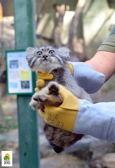 3661 Best Budapest Images On Pholder Architecture Porn Accidental Wes Anderson And City Porn