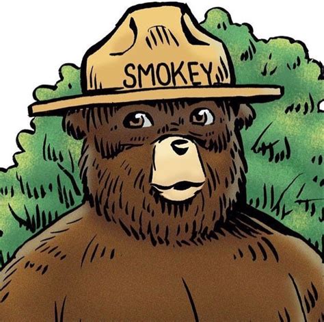 Pin By Sally Williams On Smokey Bear Smokey The Bears Smokey