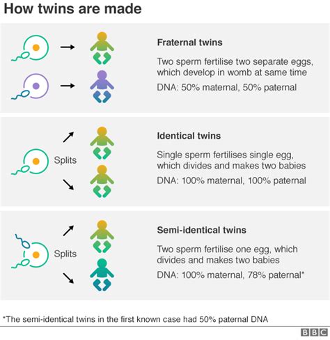 Geekpress Semi Identical Twins