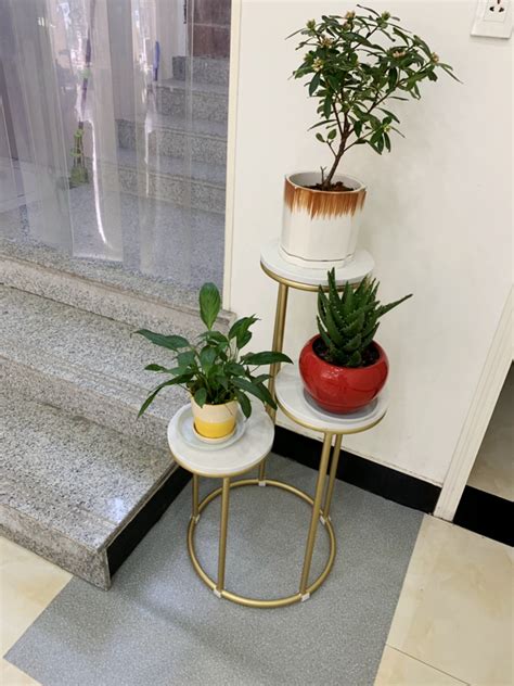 Купить Подставка для цветов Северные современный кованого железа цветок ...