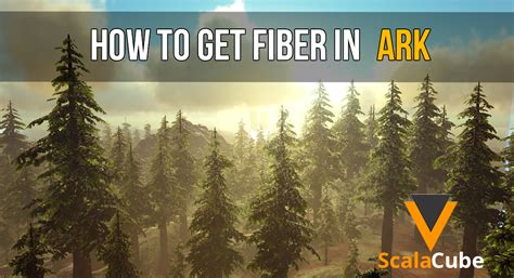 how to get fiber in ark