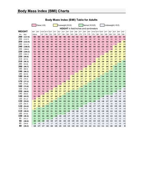 2024 Bmi Chart Fillable Printable Pdf And Forms Handypdf