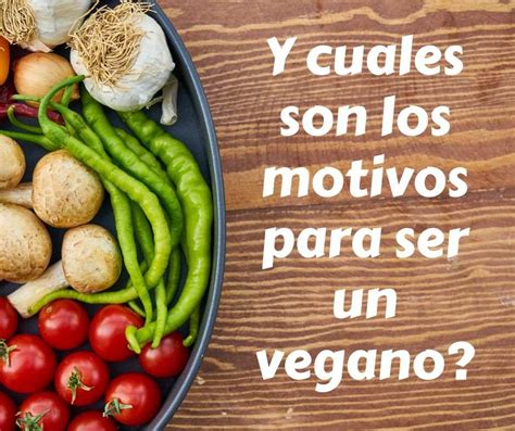 Qué Es Veganismo Dra Vegana