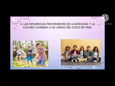 Etapas Del Desarrollo Del Ciclo Vital De Pa L Baltes Youtube