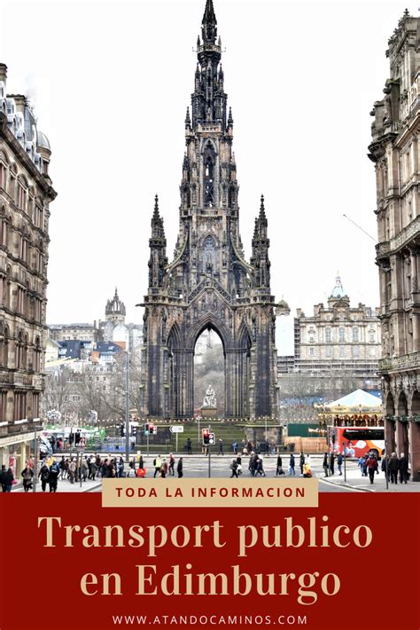 Viajar Solo Holidayguru Tablero Grupal Artofit