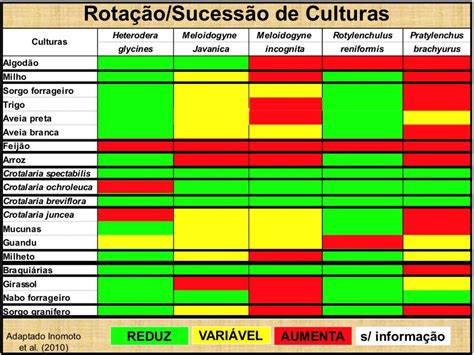 Culturas De Cobertura O Que Plantar Na Entressafra Agro Bayer Agro