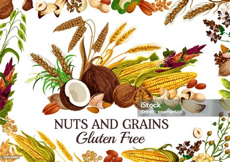Kernel Dan Bijibijian Makanan Sereal Kacangkacangan Dan Bijibijian