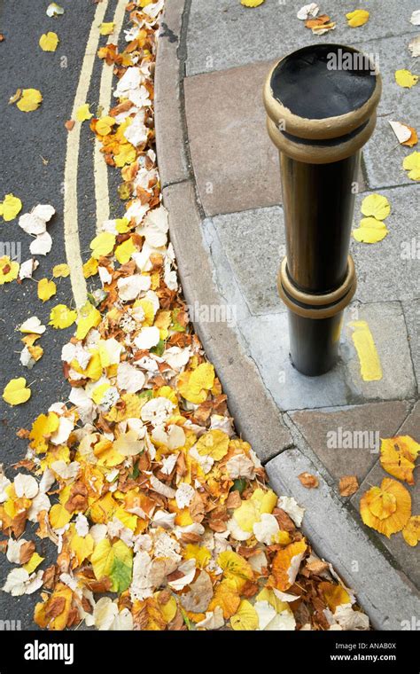 Kerb With Double Yellow Lines Partially Covered By Fallen Autumn Leaves