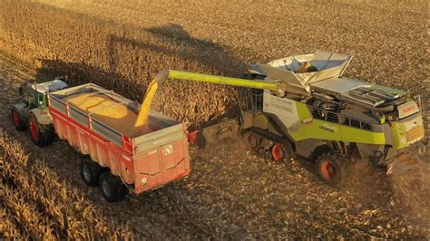 CLAAS 7500 TT au MAÏS avec son cueilleur CAPELLO 10 rangs MOISSON