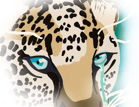 how to draw jaguars 6