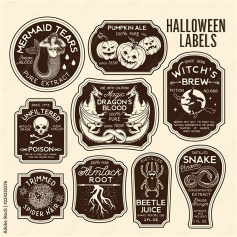 Halloween Bottle Labels Potion Labels. Vector Illustration. Stock ...