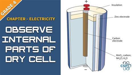 simple cell  observe  internal parts   dry cell