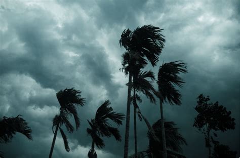 wind mitigation inspection   inspections