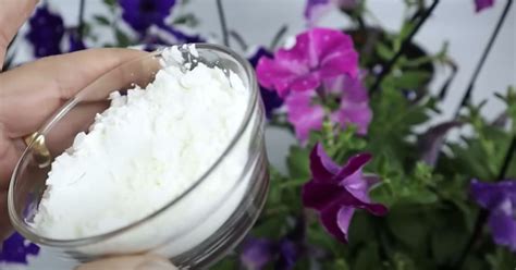 Gardener shows how a single ingredient from your kitchen cupboard can ...