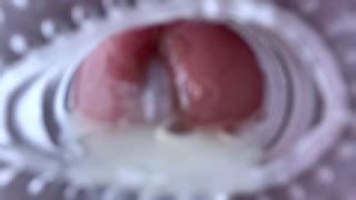 種付け Gay Porn Videos Pornhub