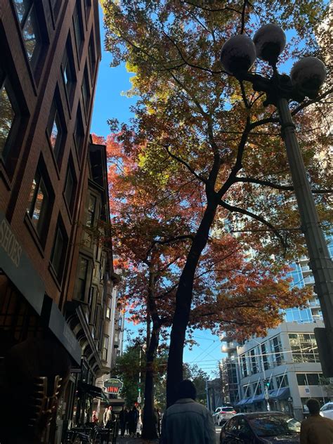 Fall in Seattle in 2025 | Living in portland oregon, Vacation life