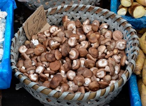 Wicker Basket Full Of Mushrooms At Market Photo Image Classroom Clip Art