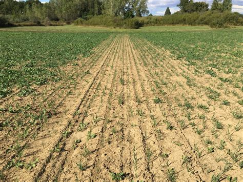 South Africa S Naked Insurance Scores Additional USD Mn Investment