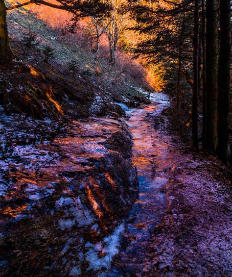 Blog Archives - High On LeConte