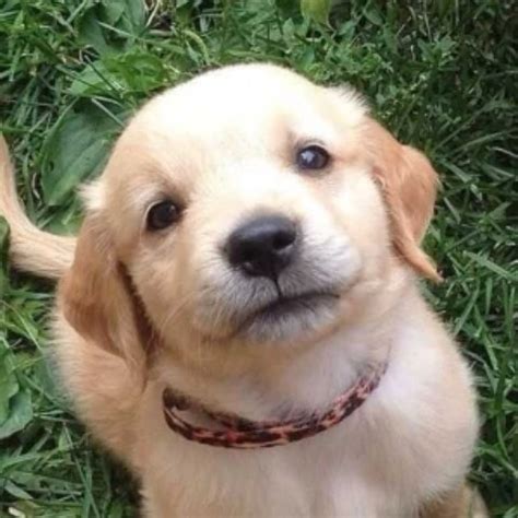 Lkw Fahrer Schwuler Porno Und Sex Mit Einem Sperma Stream Xhamster