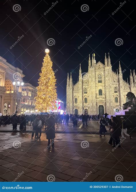 A Illuminated Christmas Tree in Front of the Duomo Di Milano at Night