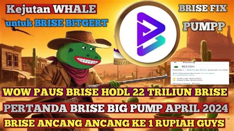 Wow Ternyata Whale Paus Hodl Triliun Brise Bitgert Pertanda