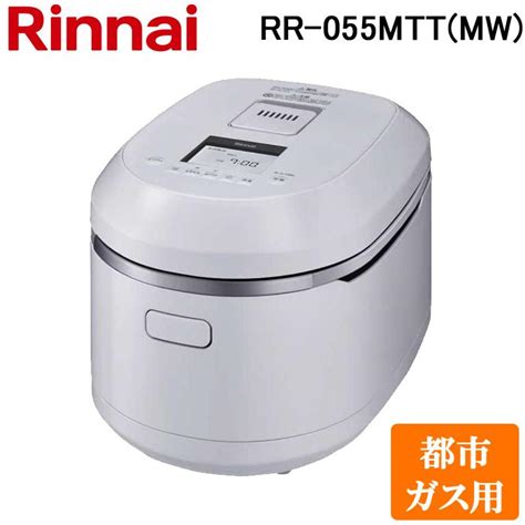 rinnai rr mttmw