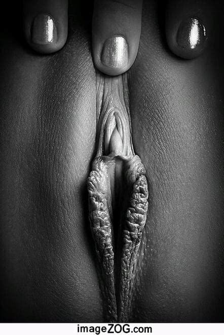 My Hot Girls Collection 2 HPSO 4245 Porn Pic