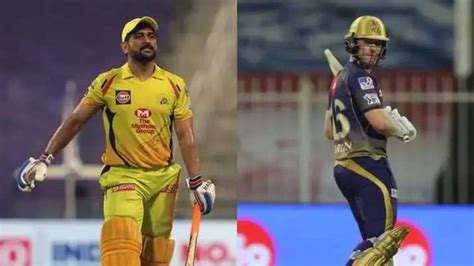 ipl  ms dhoni  score  runs  season   plays domestic