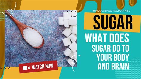 What Does Sugar Do To Your Body And Brain Youtube