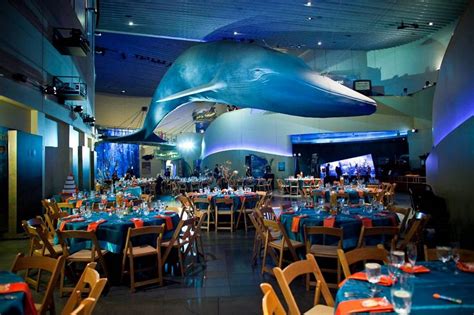 Aquarium of the Pacific - PD Special Events