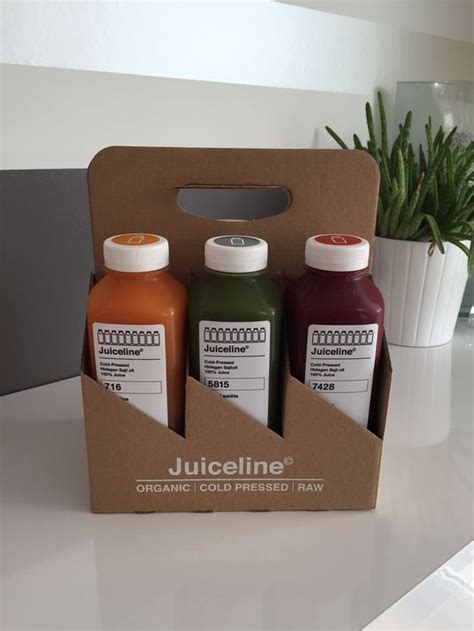 pin  fanipertiwi  kemasan produk juice packaging juice branding