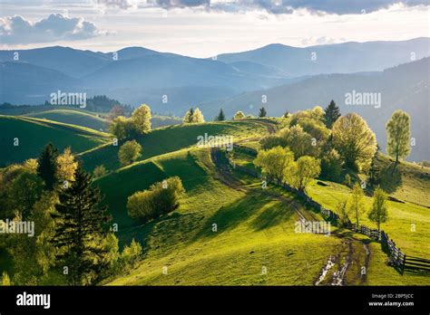 field path  hilly field landscape  res stock photography  images