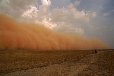 Natur Und Umwelt German China Org Cn Wie Ein Gelbes Loch