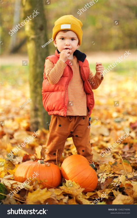 Happy Young Baby Boy Playing Outside Stock Photo 1540274096 Shutterstock