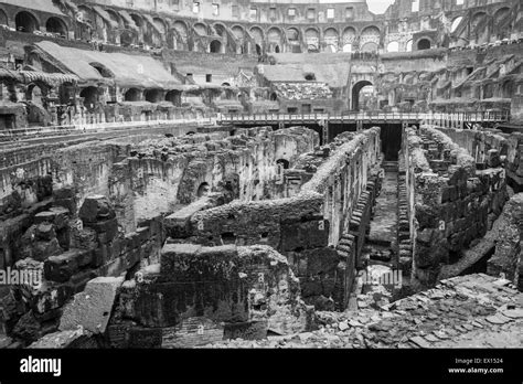 Coliseum In Rome Stock Photo Alamy