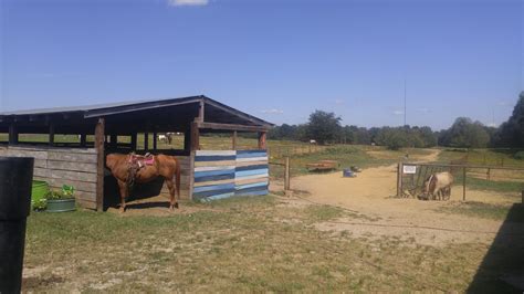 Shelby Farms Park Conservancy Mountain Bike Trail in Memphis, Tennessee ...