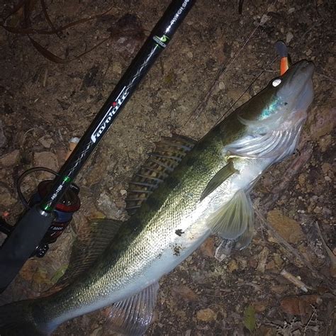 Обзор спиннинга Norstream Favorite Twitch 712M