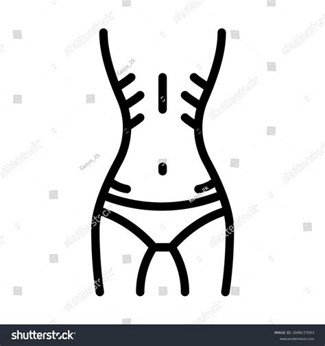 Naked Anorexic Female Body Stock Vectors And Vector Art Shutterstock
