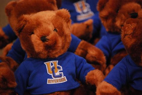 Ucr Teddy Bear Giveaways Ucrsrc Srcsouth Abattack Workout Abs